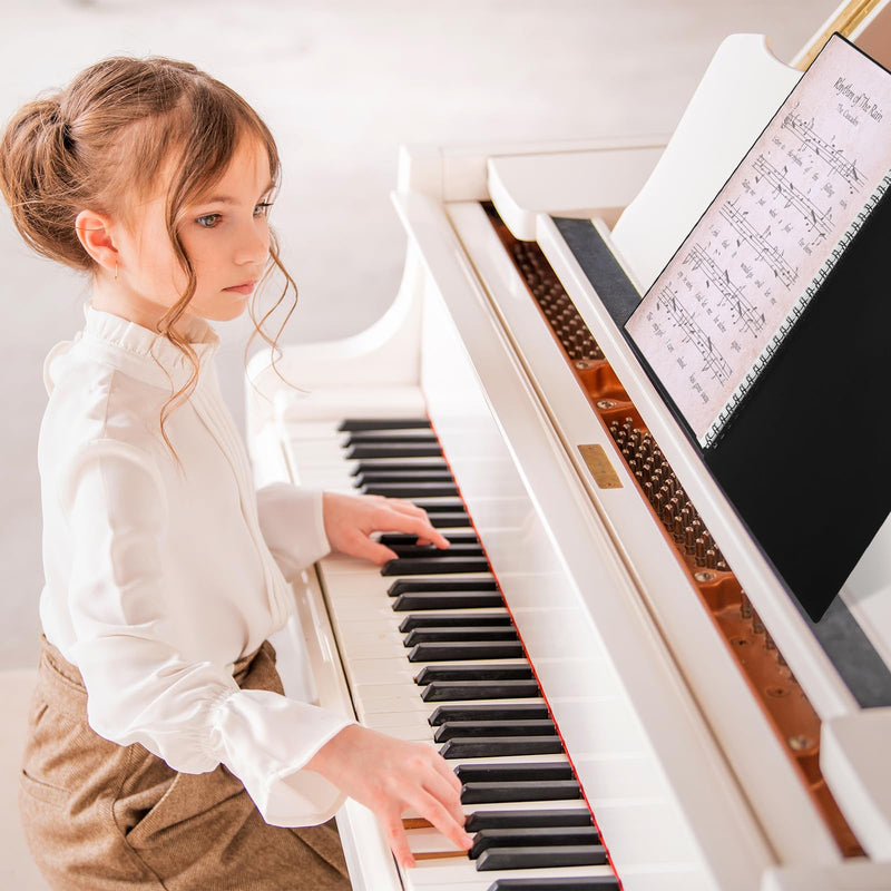 120Pages Sheet Music Folder A4, Spiral Binder Music File Folder, 8.5x11 inch Paper Documents Storage Holder Bag, Blank Plastic Concert Choral Folder