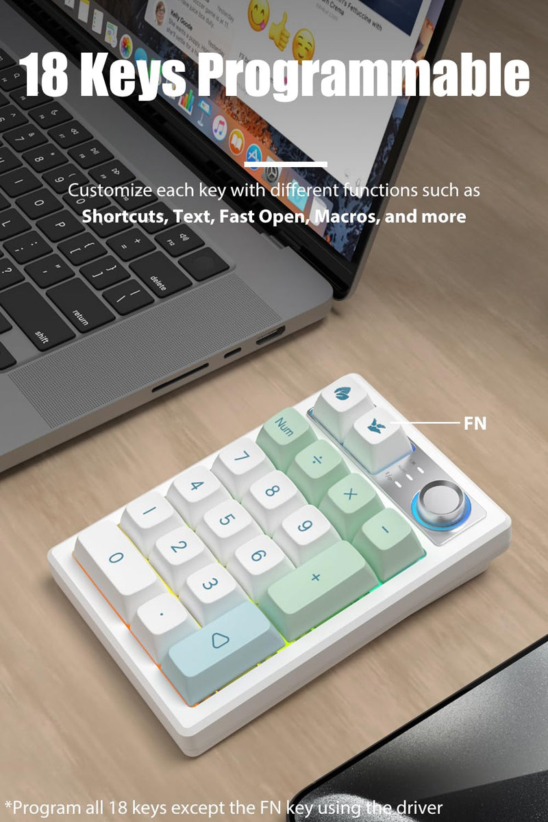 Gasket Creamy Mechanical Numpad Programmable Keypad RGB LED Backlit | Wireless 2.4G/Bluetooth 5.0/Wired USB-C Hot Swappable Macro Number Pad Rechargeable Numeric Keyboard Metal Knob for Win/Mac Mint