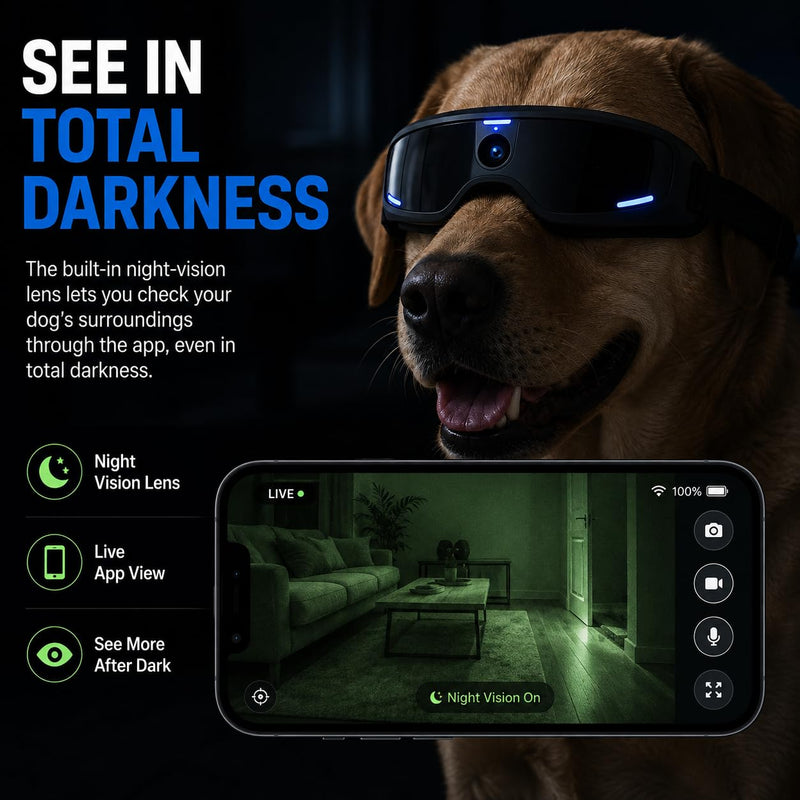 Smart Glasses for Pet, Bluetooth Audio Glasses with Open Ear Speakers, IP65 Waterproof, Lightweight Glasses, Travel Office Driving