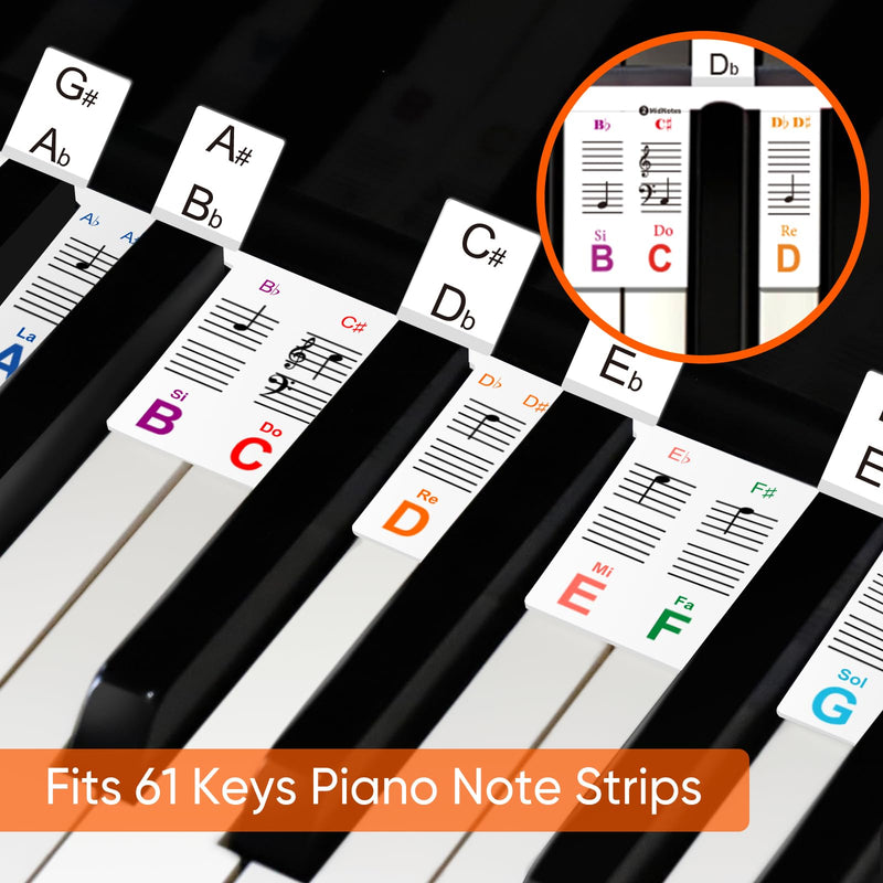 61 Keyboard Notes Guide with Black Keys Semitones,Non-Sticky Electric Piano Stickers with Dust Cover and Box,Easter Basket Stuffers-Color Double Spines 61-color