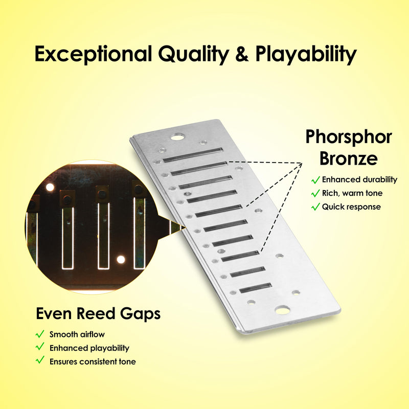 [AUSTRALIA] - Diatonic Harmonica of A Key,Blues Mouth Organ 10 Holes 20 Tones, Reed of Phosphor Bronze, ABS Combo, Easy-Clean Cover,10 Holes Blues Harp for Adult, Beginner Diatonic Black A Key 
