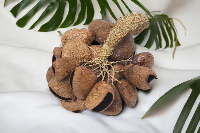 GMP Pangi Seed Shell Shaker/Nutshell Percussion Sound Effect, Comes with Rope Handle/Bamboo Handle, Authentic Traditional Rattle (Natural) Rope-Handle