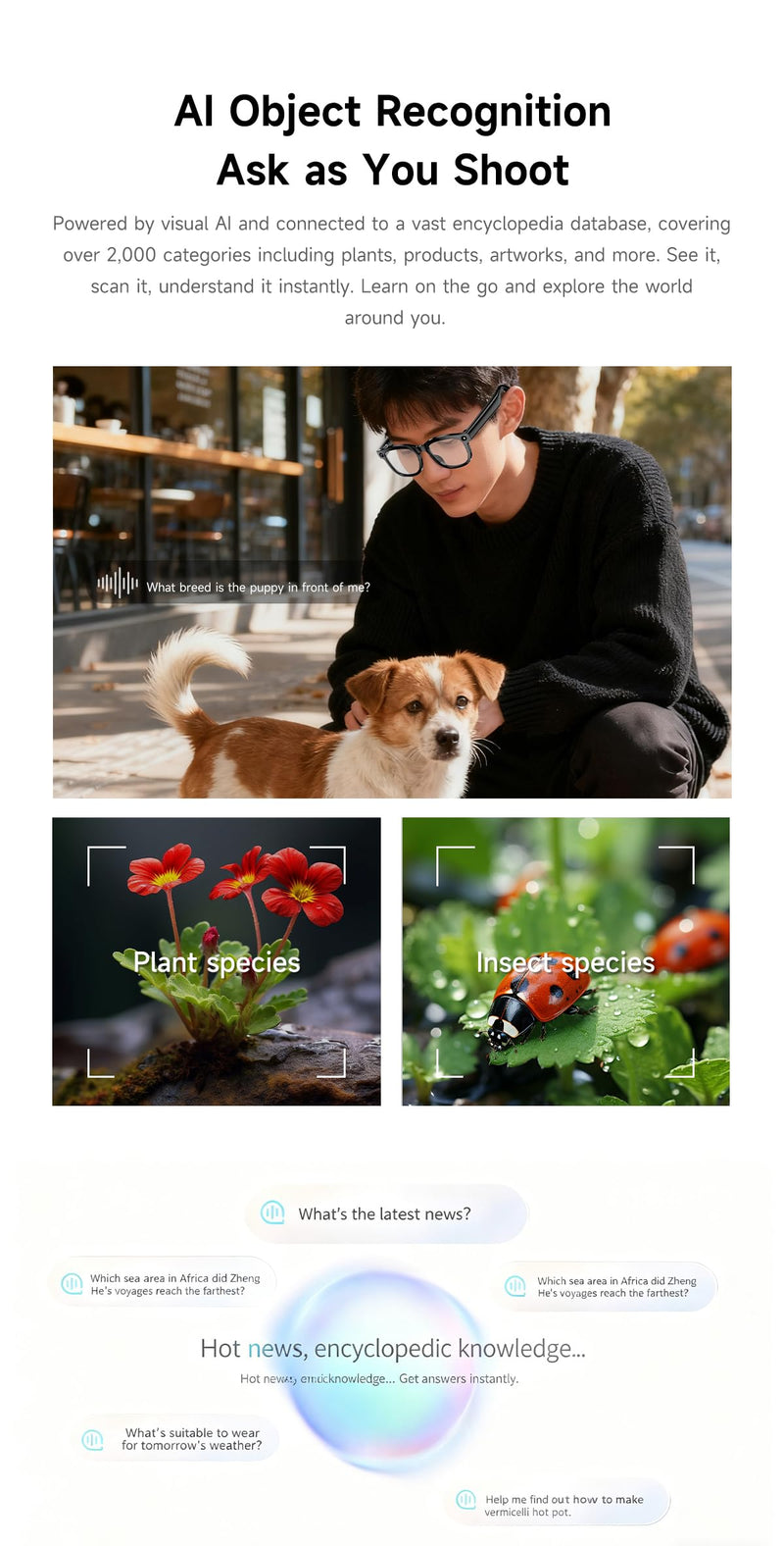 AI Smart Glasses with 4K EIS Anti-Shake Camera, Real-Time Multi-Language Translator Open-Ear Bluetooth Audio Hands-Free Recording Glasses for Travel Vlogging Business Meetings (Black(GS-98)) Black(GS-98)