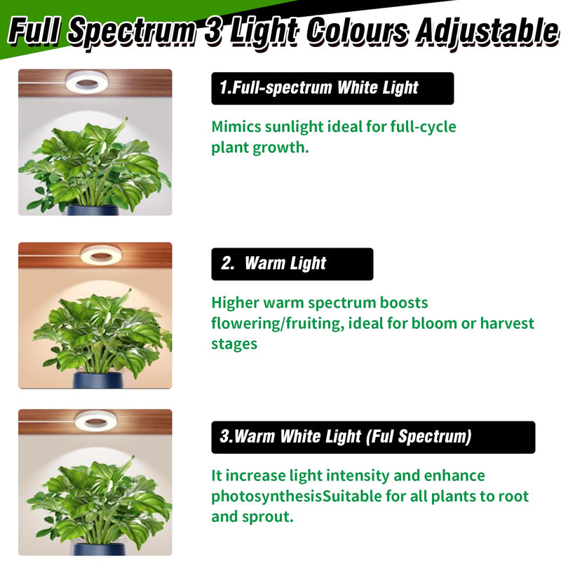SciFiVisi Pack of 3 Plant Lamps, LED Full Spectrum, Plant Light with Auto Timer, 3 Colours, 10 Brightnesses, LED Plant Lamp for Indoor Plants (White, 3 Heads) White 3 Heads
