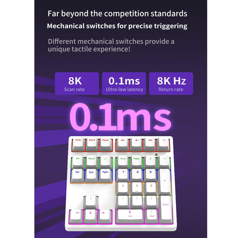 XUMIUZIY Number Pad, Mechanical Numeric Keypad with RGB Backlit, Hotswap Blue Switches, PBT Keycaps, 34 Keys USB Wired Numpad for Laptop, Computer, PC (White) White