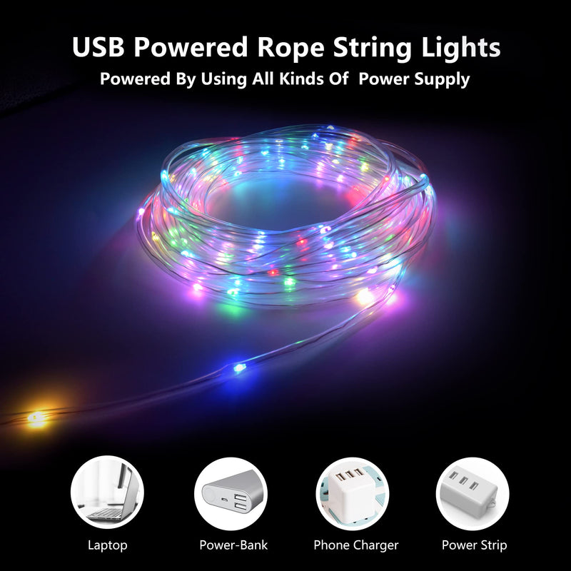 LED Rope Lights with USB Powered, 2 Pack X 33Ft 100 LED String Lights Indoor Outdoor with Remote,16 Color Changing Fairy Tube Lights for Bedroom Garden Party Wedding Christmas 33ft x 2Pack(RGB)