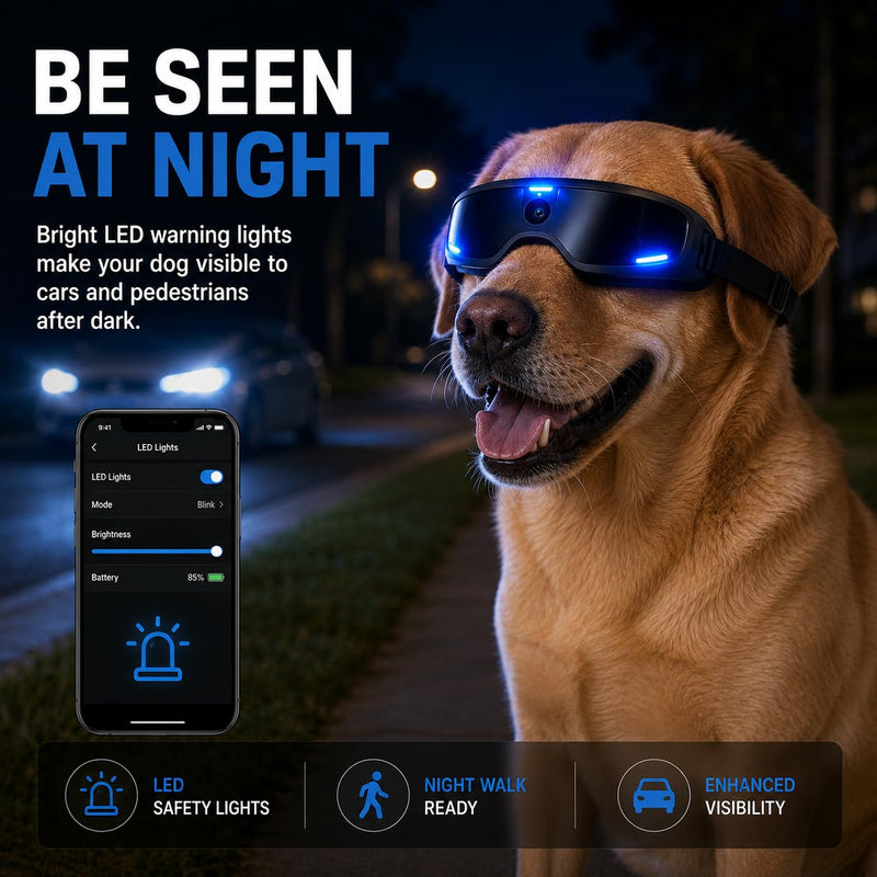 Smart Glasses for Pet, Bluetooth Audio Glasses with Open Ear Speakers, IP65 Waterproof, Lightweight Glasses, Travel Office Driving