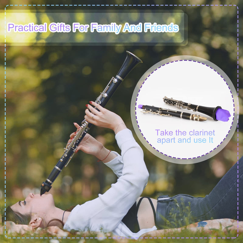 12 Pcs Clarinet Swab Cleaning Cloth Swab for Inside Tube Cloth Clarinet Cleaner Pull Through Instrument Cloth with Weighted String for Clarinet Flute Piccolo Sax Saxophone(Blue, Purple) Blue, Purple