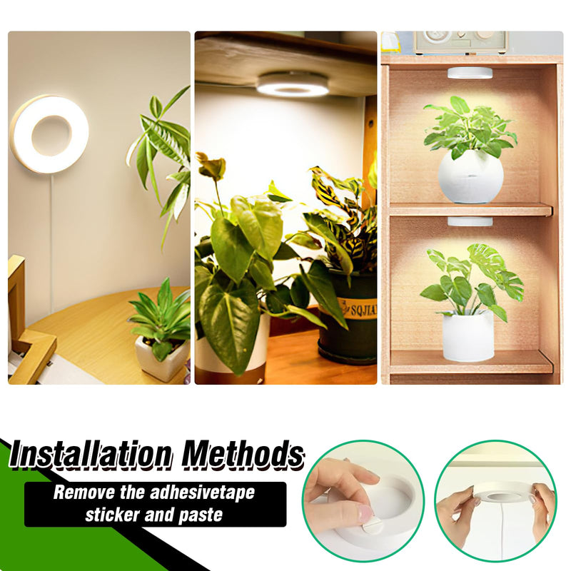 SciFiVisi Pack of 3 Plant Lamps, LED Full Spectrum, Plant Light with Auto Timer, 3 Colours, 10 Brightnesses, LED Plant Lamp for Indoor Plants (White, 3 Heads) White 3 Heads
