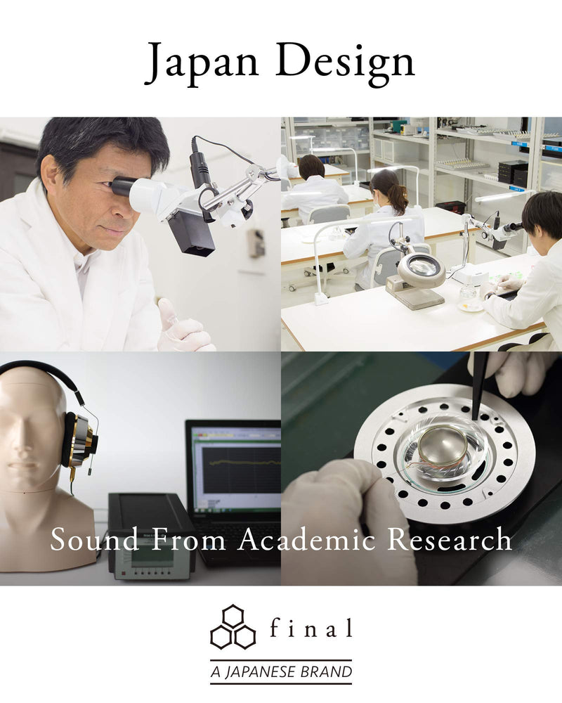 Final Canal Type Earphone E2000 FI-E2DALã€Japan Domestic Genuine productsã€‘ Black