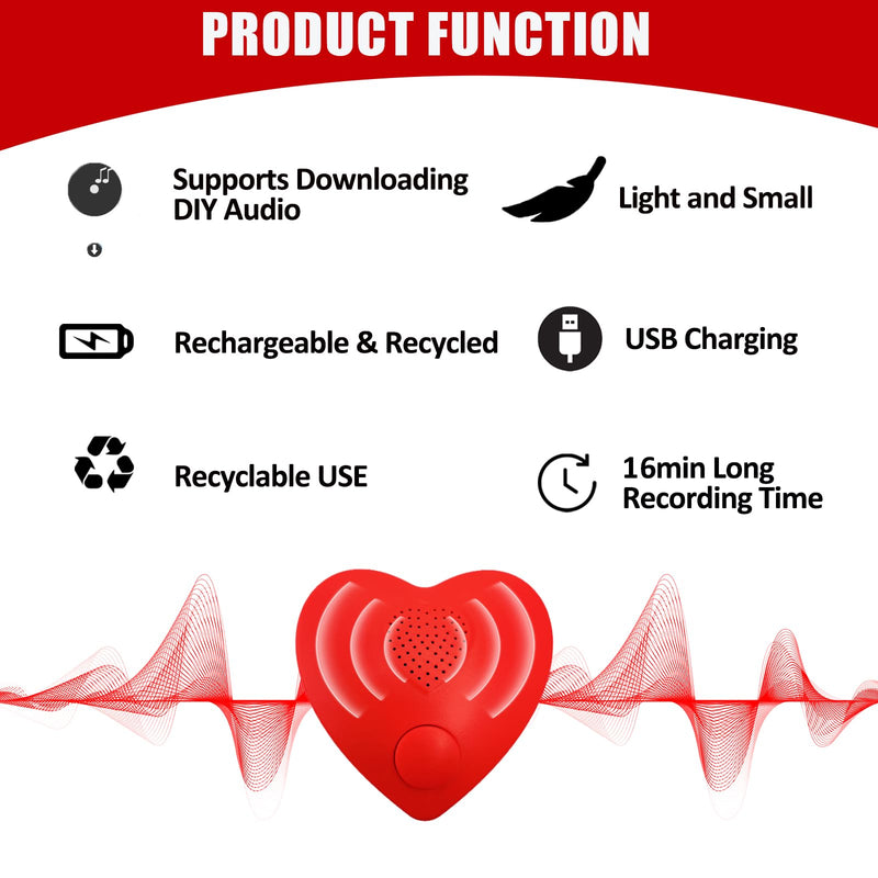 16min Voice Recorder, USB Downloadable Sound Recorder Chips Module for Stuffed Animals, Mother's Day Valentine's Day Christmas Plush Toy,Manual DIY Creative Sound Presents for Boys, Girls-2P XIN7004-Only Download-2P