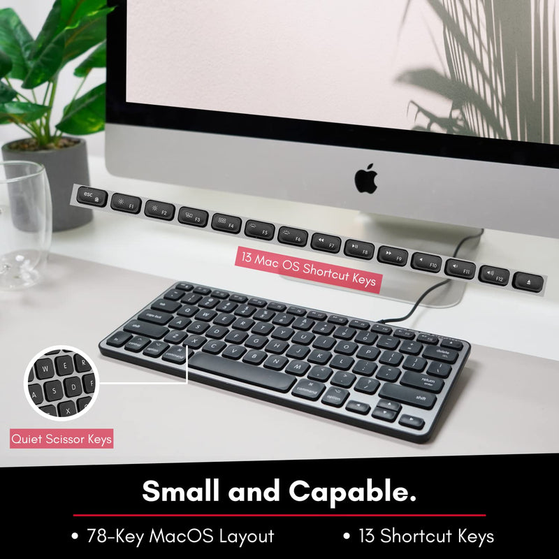 Macally Backlit Mac Keyboard Wired - The Perfect Size and Lighted - Slim and Compact Apple Keyboard with 3 Level Brightness LED Keys - Small Wired Keyboard for Mac, MacBook Pro/Air, iMac (Space Gray)