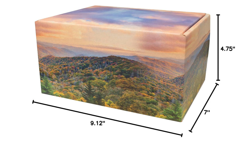 Mountain Themed TSA Approved Fly-Safe and Temporary Travel Cremation Urn Kit for Human Ashes - Airline and Mail Friendly - 200 Cubic Inch Capacity - Green Plastic Urn with Mountains Mailing Box Mountain