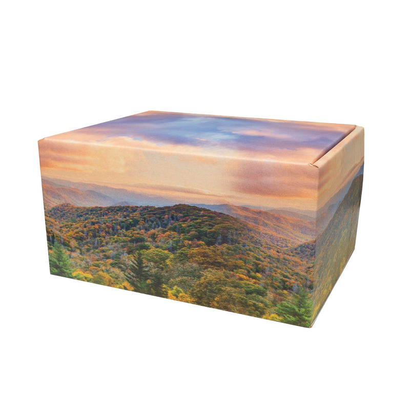 Mountain Themed TSA Approved Fly-Safe and Temporary Travel Cremation Urn Kit for Human Ashes - Airline and Mail Friendly - 200 Cubic Inch Capacity - Green Plastic Urn with Mountains Mailing Box Mountain