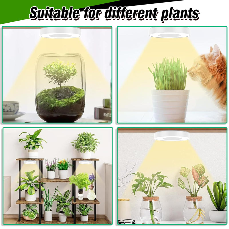 SciFiVisi Pack of 3 Plant Lamps, LED Full Spectrum, Plant Light with Auto Timer, 3 Colours, 10 Brightnesses, LED Plant Lamp for Indoor Plants (White, 3 Heads) White 3 Heads