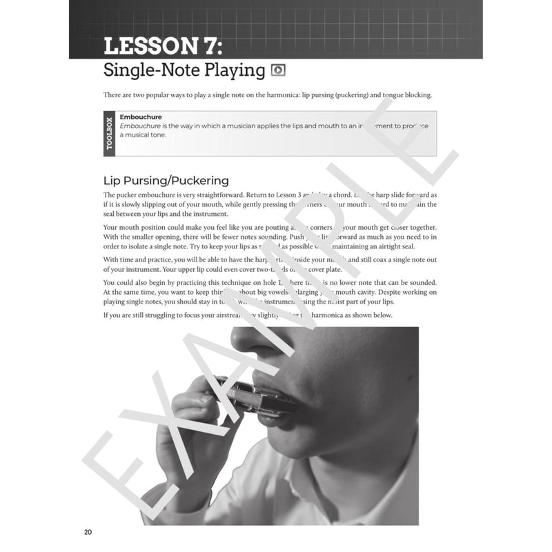 [AUSTRALIA] - Do-It-Yourself Harmonica: The Best Step-by-Step Guide to Start Playing - Book with Online Audio and Instructional Videos 