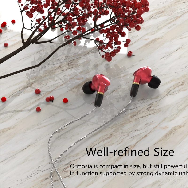 YINYOO KBEAR Ormosia Wired IEM Earbuds Bass Earbuds Earphones Sound Cancelling Earbuds Headphones with MMCX Wire 1BA 1DD Driver Without Mic for PC Computer for Musicians (Gray)