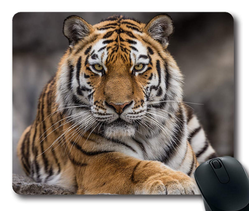Ice Rabbit Mouse Pad Siberian Tiger Gaming Personality Rectangle Mouse Pads Non-Slip Rubber Mousepad Ir-08