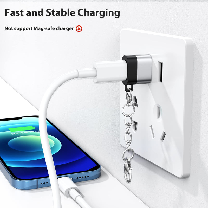 USB C Female to USB Male Adapter 2 Pack, USB A Male to USB C Female Cable Converter with Keychain, USBC Type C Connector Charge & Data Sync for Laptop Car Charger Headphone Computer Hub etc. Silver+Black