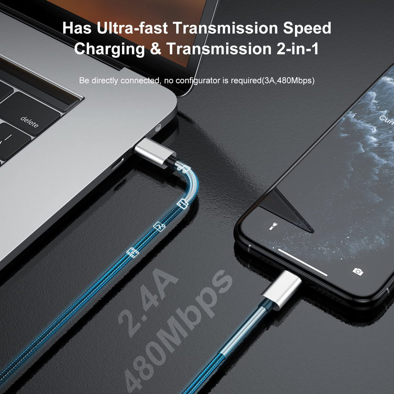 [AUSTRALIA] - 2Pack 10ft iPhone Fast Charger Cable, [Apple MFi Certified] Long USB C to Lightning Cable 10 Foot, High Fast 10 Feet Apple Charging Cord for Apple iPhone 14/14 Pro Max/13 Mini/12/11/XS/XR/8/7Plus,iPad Lightning Silver 