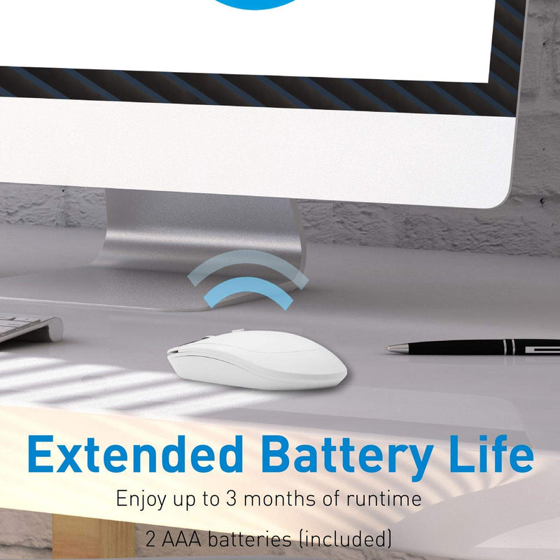 Macally Wireless Bluetooth Numeric Keypad and Wireless Bluetooth Mouse for Mac and PC, Calculate Efficiently
