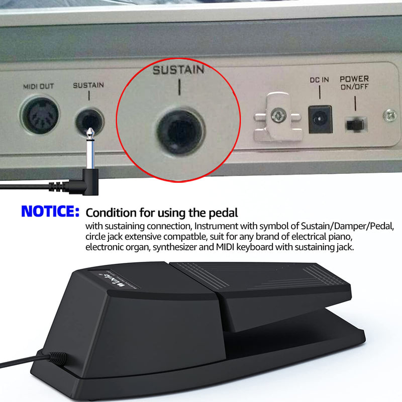 Sustain Pedal，Keyboard Piano Pedal with Polarity Switch for Electronic Keyboards，Digital Pianos， MIDI Keyboards and More