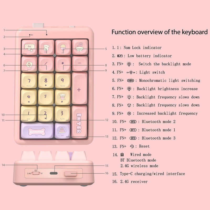Wireless Number Pad Keyboard Mechanical Numpad Numeric Keypad for Laptop | Bluetooth Creamy 10 Key RGB Portable Cute Financial Accounting Rechargeable for Windows, PC, BT5.0/2.4G, Pink S21