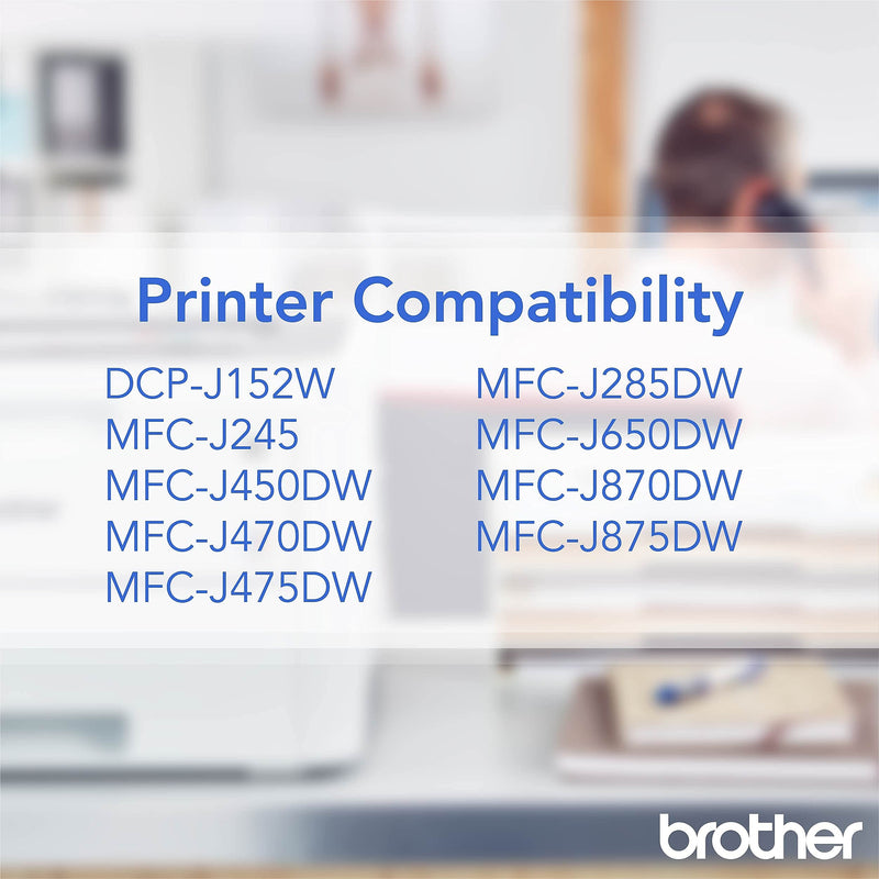 Brother Genuine Standard Yield Black Ink Cartridge, LC101BK, Replacement Black Ink, Page Yield Upto 300 Pages, LC101 1 Count (Pack of 1)