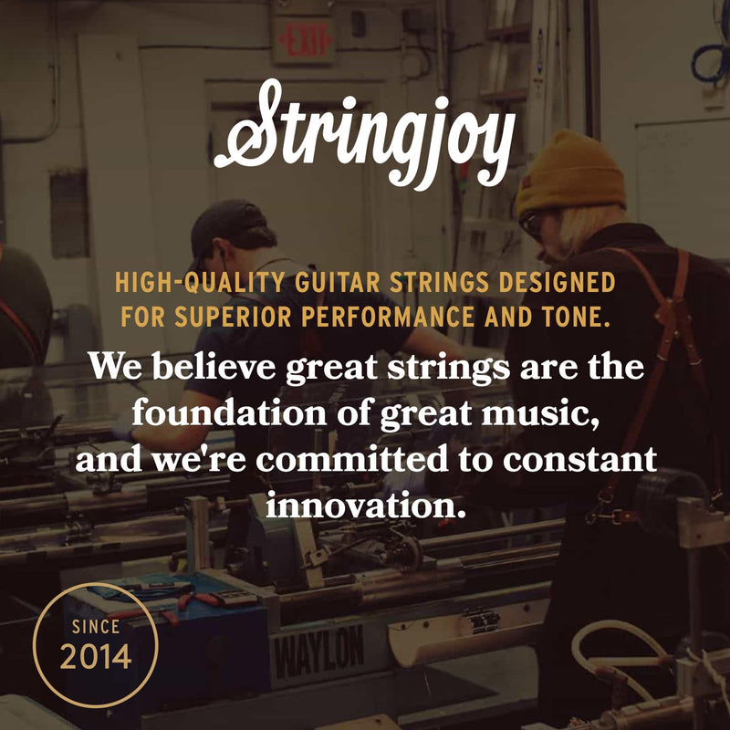 Stringjoy Balanced Light Gauge Brights 80/20 Bronze Acoustic Guitar Strings 12-54, BB1254, Vibrant Tone & Optimal Playability, Acoustic 6 String Set, 2-Pack 12-54 Light Gauge