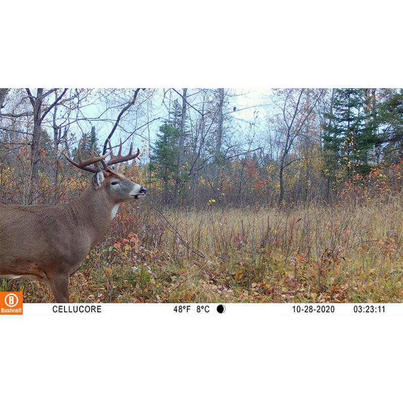 Bushnell CelluCORE 20 Trail Camera for Verizon with Low Glow/80ft Night Range and HD Video Trail Camera Cellular Verizon