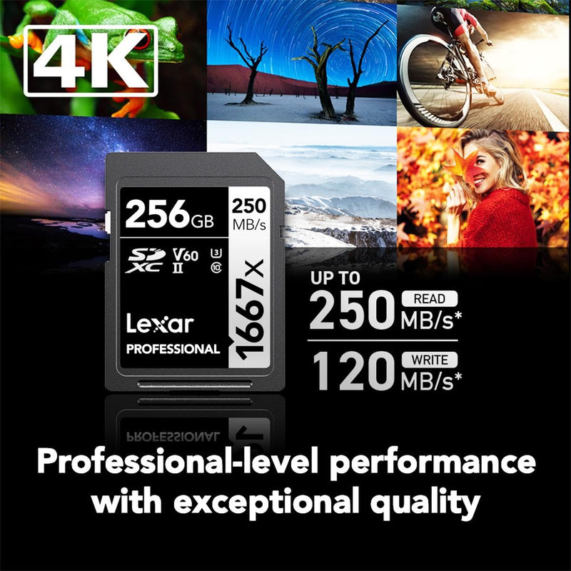 Lexar 256GB Professional 1667x SDXC Memory Card, UHS-II, C10, U3, V60, Full-HD & 4K Video, Up To 250MB/s Read, for Professional Photographer, Videographer, Enthusiast (LSD256CBNA1667) Single