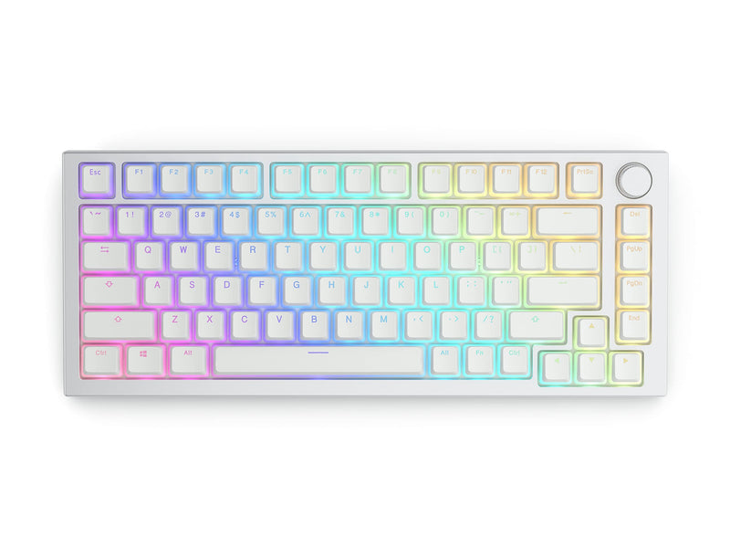 Glorious Aura V2 (White) - PBT Pudding Keycaps for Mechanical Keyboards - ANSI (US), ISO Compatible - Supports Full Size, TKL, 75%, 60% Layouts Aura V2 (White)