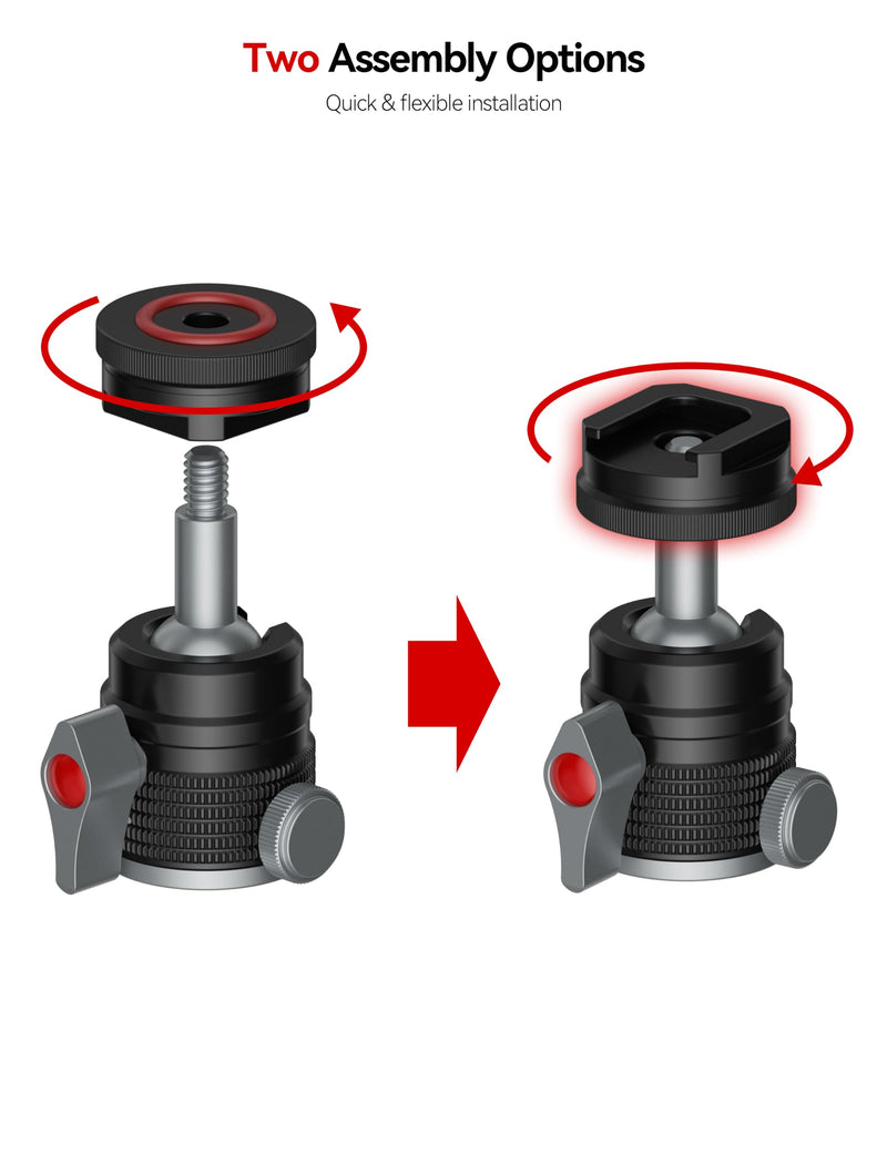 IFOOTAGE T31D Mini Ball Head, Camera Tripod Head with Cold Shoe Mount | 360° Swivel & 90° Tilt Aluminum Ball Head, 1/4" & 3/8" Screw Adapter for DSLR Camera, Mirrorless Camera, Phone, Video Light