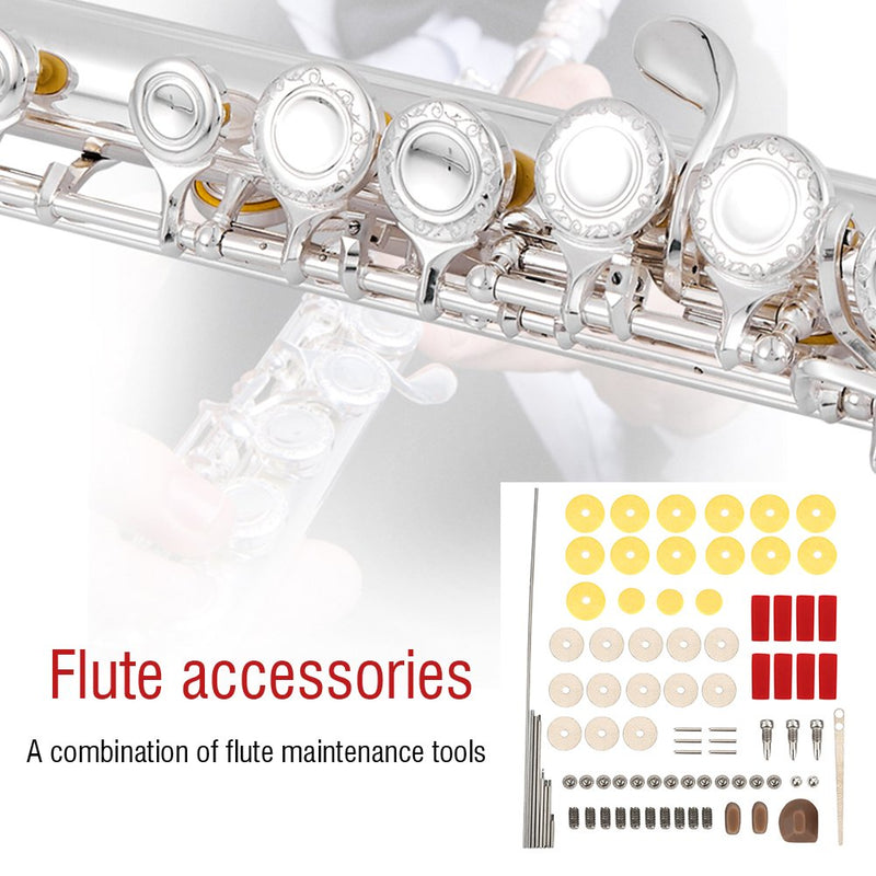 Alomejor Kit Flute Repair Parts Flute DIY Repair Screws and Gasket Flute Repair Maintenance Tool Kit