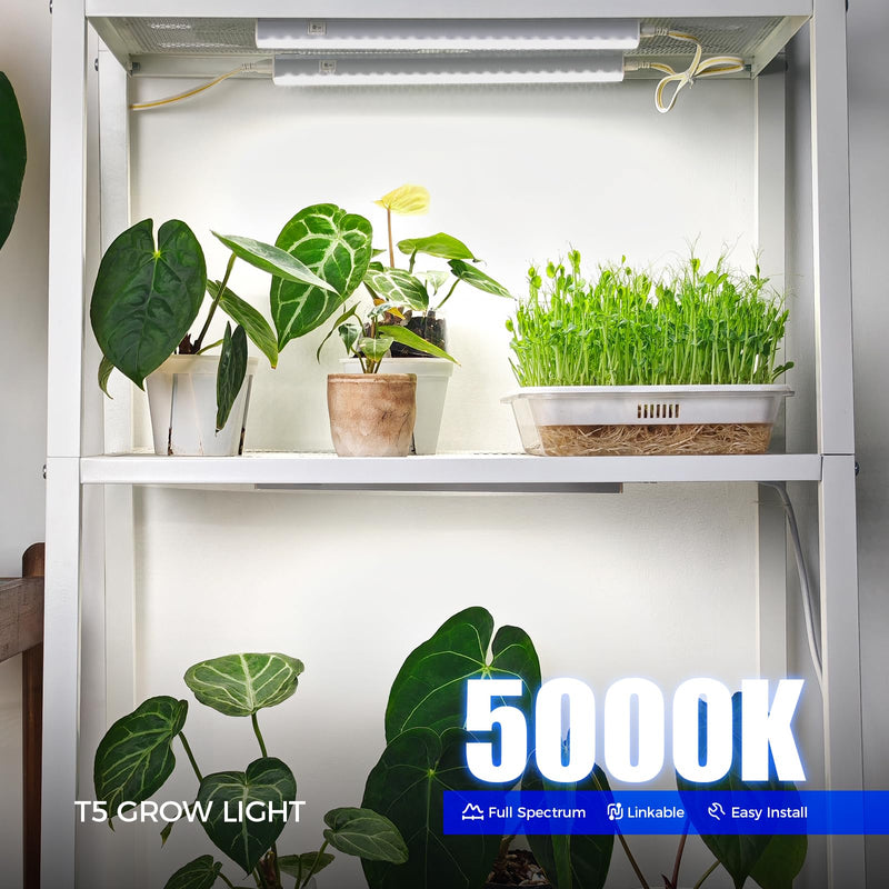 Barrina T5 Grow Lights for Indoor Plants, 5000K Full Spectrum, 1FT LED Growing Lamp, Plant Light Strip, for Seed Starting, Vegetables, Plug and Play, 4-Pack White 1FT-White Cover