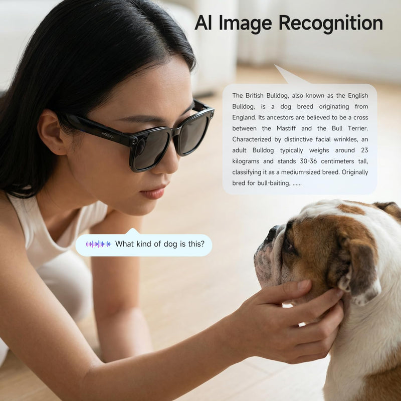 Ithywat AI Translation Glasses 30+ Languages Real-Time 8MP Camera 16GB | HD Stabilized Camera. Dual-core WiFi+BT5.3. AI Voice Assistant and Object Recognition.