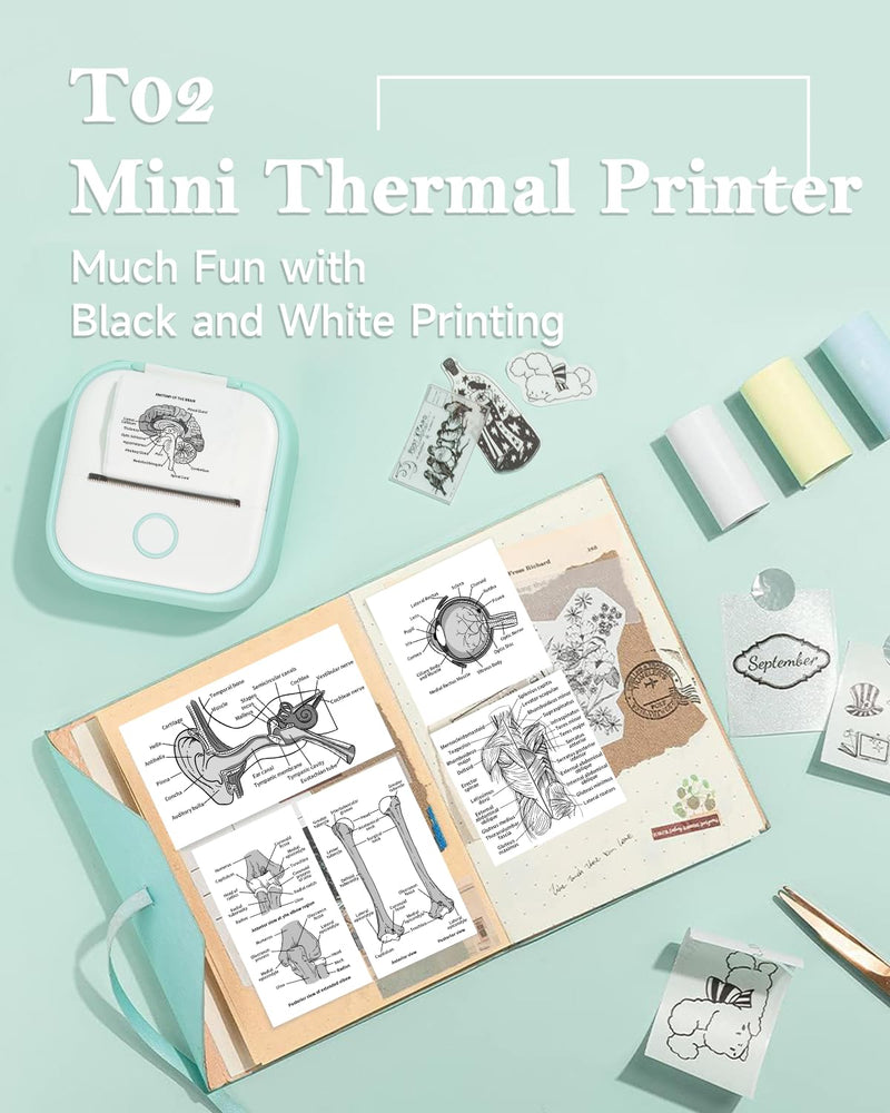 [AUSTRALIA] - Memoqueen Mini Sticker Printer T02 Pocket Portable Bluetooth Thermal Printer with 3 Rolls Paper for Journal, Memo, Photo, DIY Scrapbook, Travel, Children Gifts, Compatible with iOS & Android, Green 1 Printer & 3 Rolls Paper 