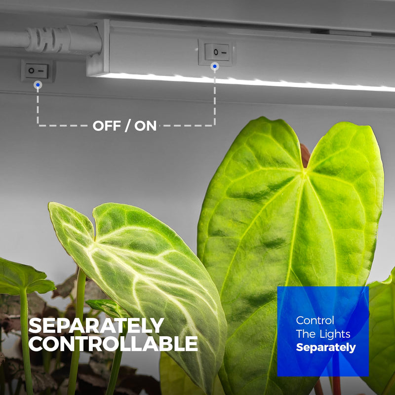 Barrina T5 Grow Lights for Indoor Plants, 5000K Full Spectrum, 1FT LED Growing Lamp, Plant Light Strip, for Seed Starting, Vegetables, Plug and Play, 4-Pack White 1FT-White Cover