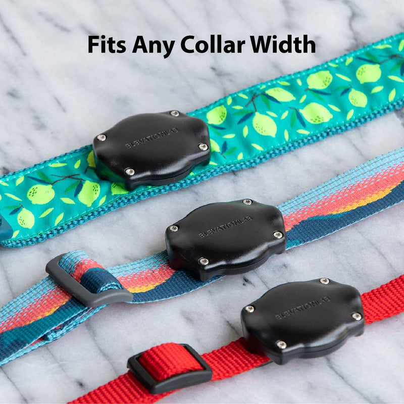 TagVault™ AirTag Dog Collar Mount (2 Pack) - IP69 Waterproof, Doesn't Dangle, Fits All Width Collars | Elevation Lab 2 Pack