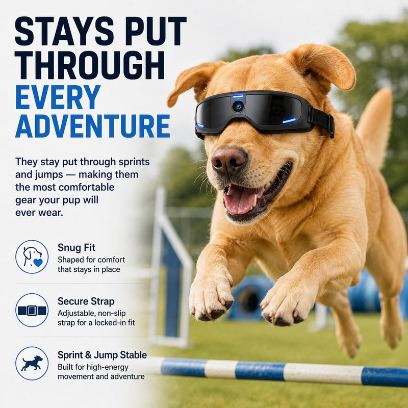 Smart Glasses for Pet, Bluetooth Audio Glasses with Open Ear Speakers, IP65 Waterproof, Lightweight Glasses, Travel Office Driving
