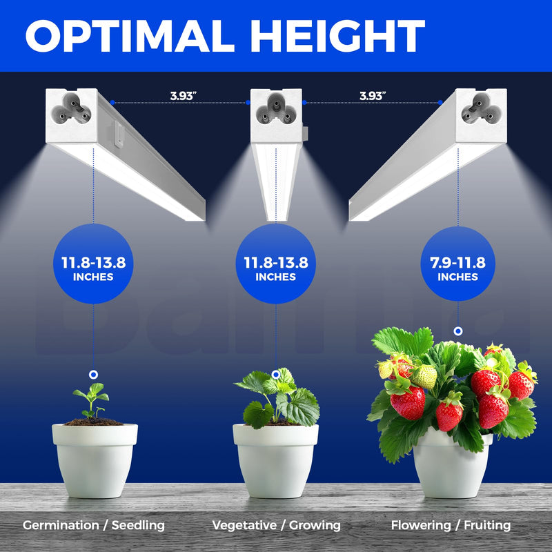 Barrina T5 Grow Lights for Indoor Plants, 5000K Full Spectrum, 1FT LED Growing Lamp, Plant Light Strip, for Seed Starting, Vegetables, Plug and Play, 4-Pack White 1FT-White Cover