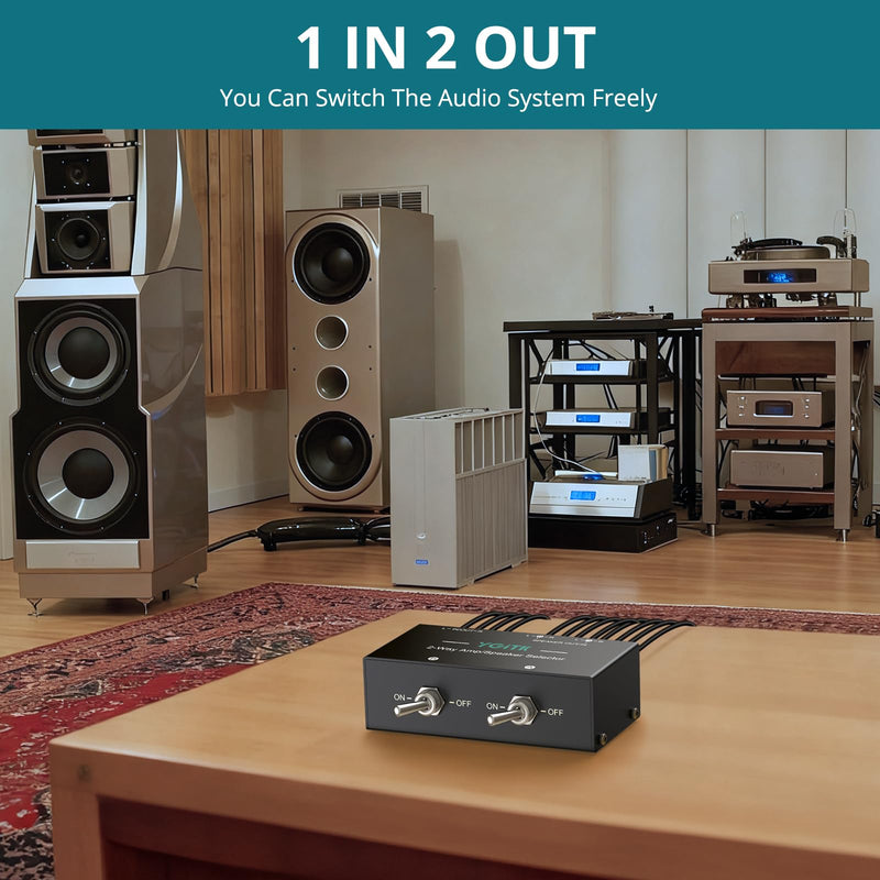 [AUSTRALIA] - 2-Zone Speaker Selector Switch Box 2-Way Amp/Speaker Selector, Passive 1/2 Speaker Switch, 150W RMS Per Channel, Spring Clip Terminals for Amplifier Dual Output with Independent On/Off Control 