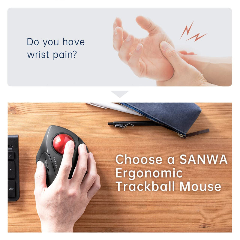SANWA TB137 Index Finger Wired Trackball Mouse + Bluetooth Numeric Keypad, Programmable Silent Buttons Roller Ball, Portable Financial Accounting Numpad, Compatible with Mac, Windows, Laptop, Black