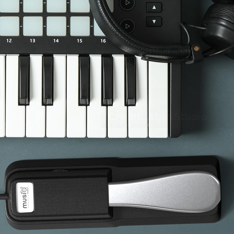 [AUSTRALIA] - Universal Sustain Pedal for Digital Piano & Electronic Keyboard, Anti-slip Foot Pedal with Polarity Switch 