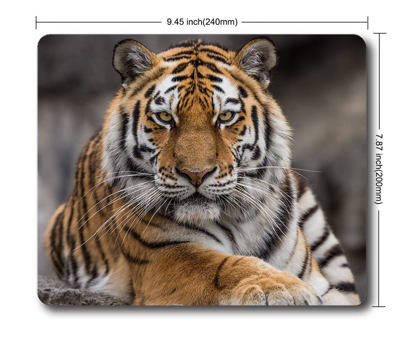 Ice Rabbit Mouse Pad Siberian Tiger Gaming Personality Rectangle Mouse Pads Non-Slip Rubber Mousepad Ir-08