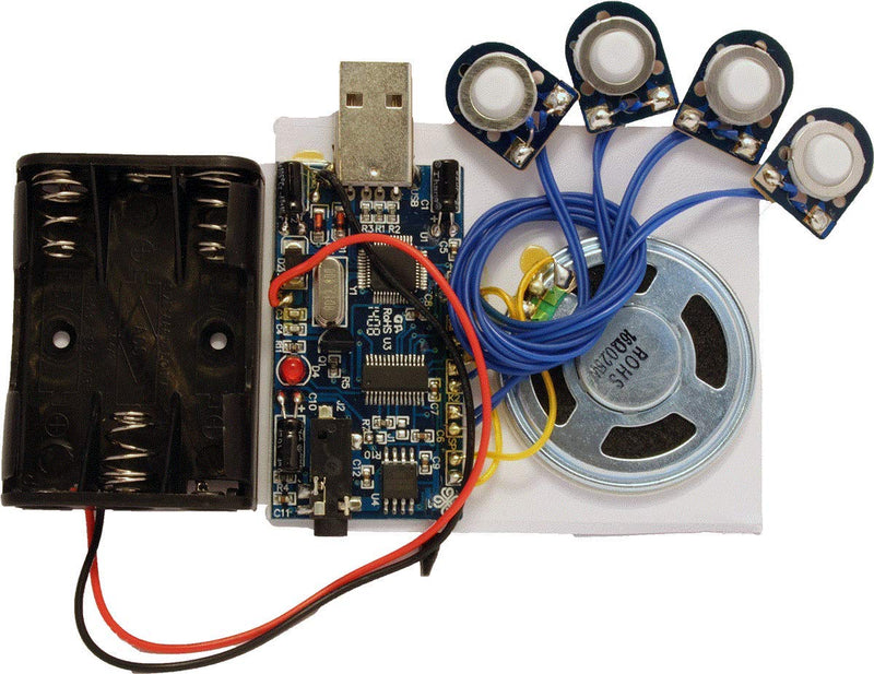 300 Second (5 Minutes) USB Recording Module