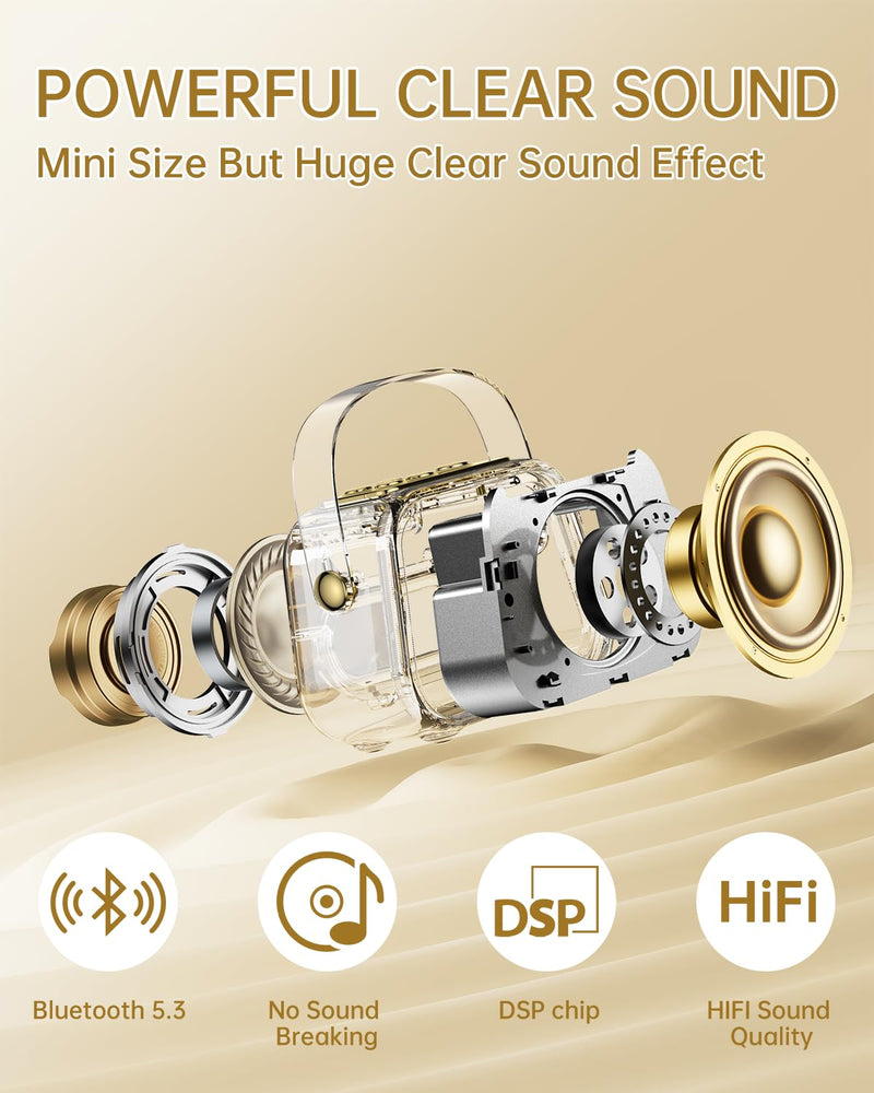 [AUSTRALIA] - Karaoke Machine for Kids,Portable Bluetooth Mini Karaoke Machine with 2 Wireless Microphones,Five Dynamic LED and Funny Sound for Home Party,Christmas Brithday Ideal Gifts 2-mic 