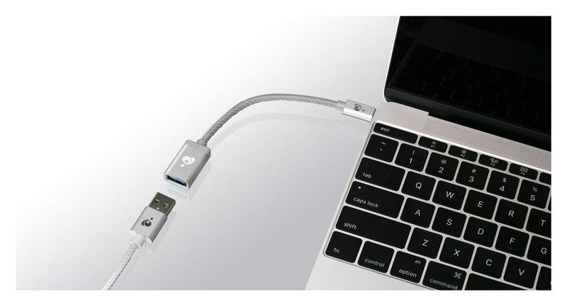 IOGEAR Charge & Sync USB-C to USB Type-A Adapter, Silver, G2LU3CAF10-SIL