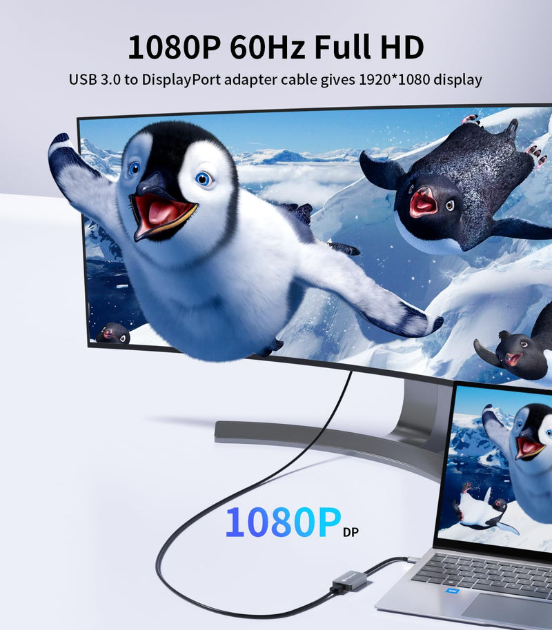 Reborn USB 3.0 to DisplayPort Adapter, 1080P@60Hz for Laptop | USB 3.0 Male to DisplayPort Female Converter Suitable for MacOS, Windows 7/8/10/11 - Driver installation is required