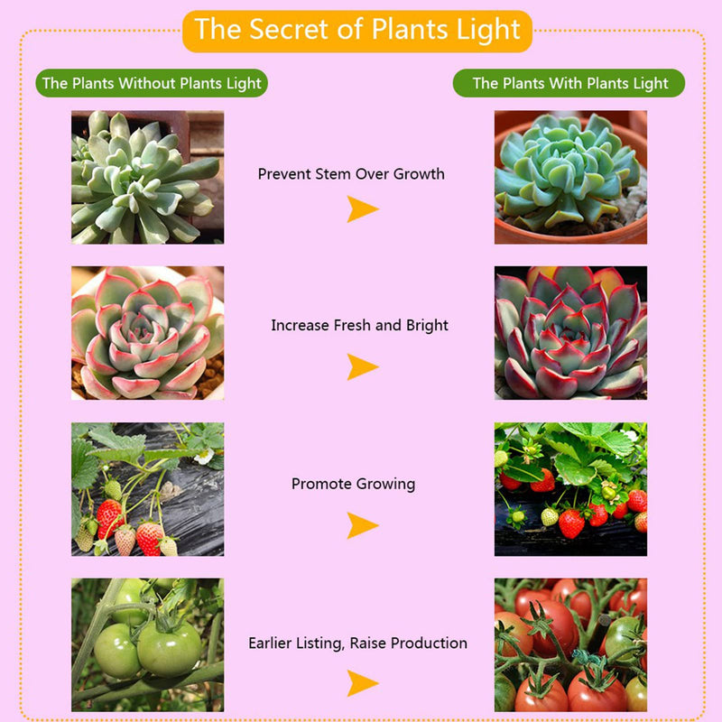 [AUSTRALIA] - Pflanzenlampe,Pflanzenlampe Vollspektrum Pflanzenlampe E27 LED Wachstumslicht Wachstumslampe für DIY-Hydrokultur-Pflanzenblume 